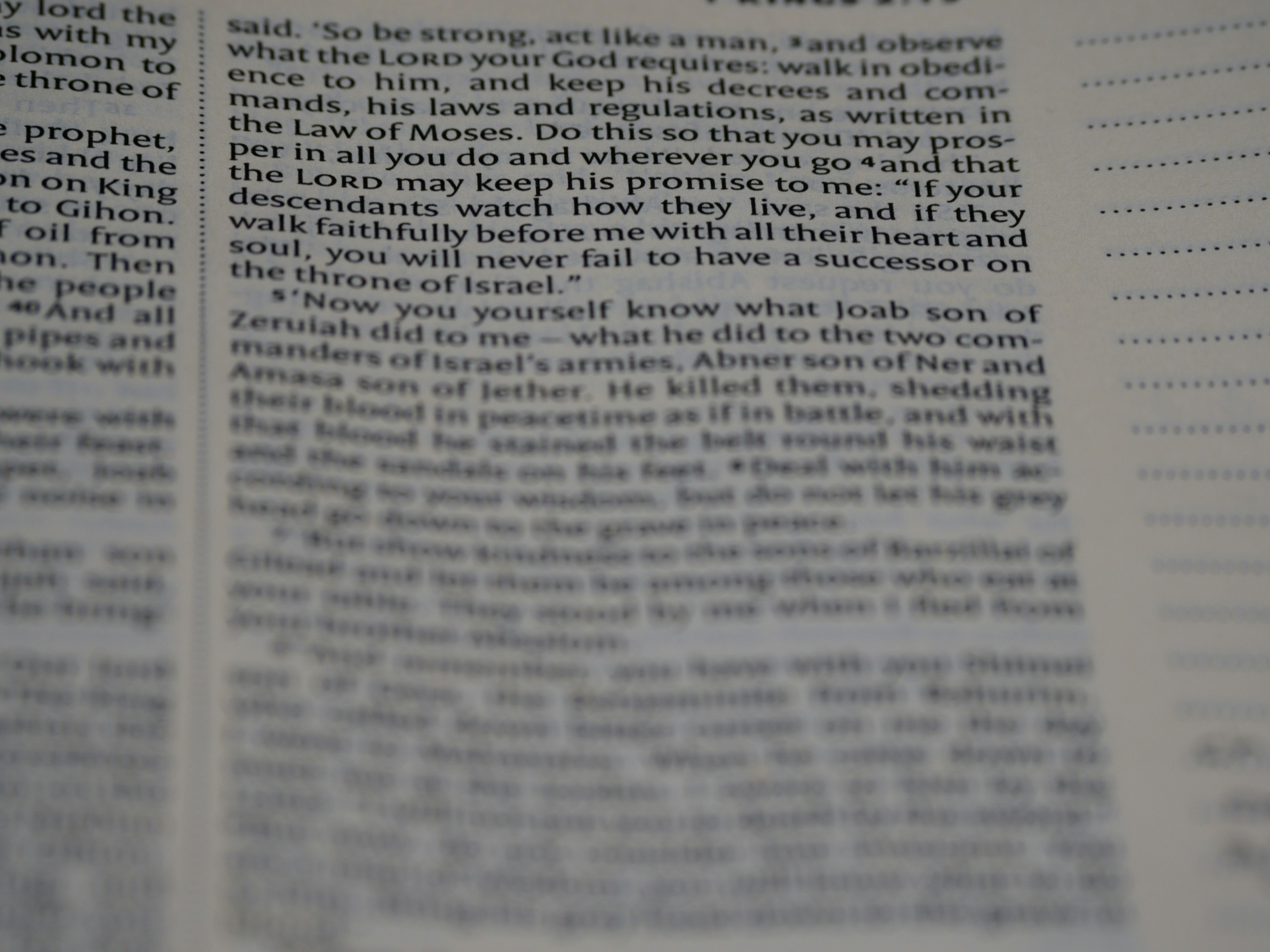 close up, bokeh, macro, blur, blurred background, close focus, bible, old testament, 1 kings, book of kings, kings, ספר מלכים, sêp̄er malḵîm, hebrew bible, destruction of judah, babylon, babylonian exile, Deuteronomistic history, a history of Israel, rabbinic literature, shavuot, christian, judaism, history, text, reading, bible study, devotions, text, NIV, New International Version, type, typography, canon, christianity, holy scripture, holy bible, scripture, tanakh, nevi'im, ketuvim, septuagint, <br />